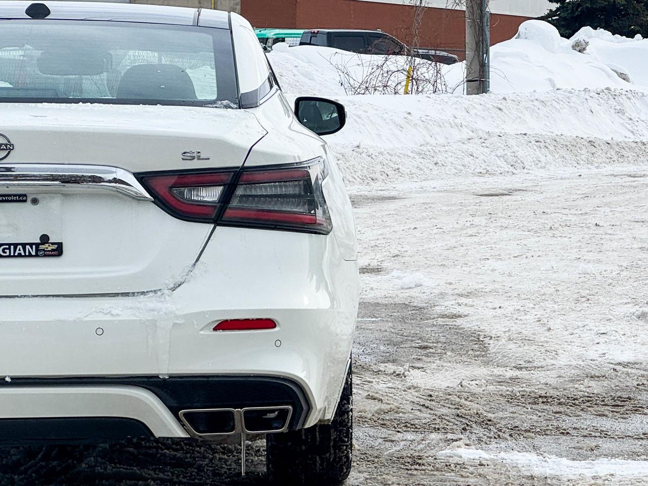 2023 Nissan Maxima SL Photo