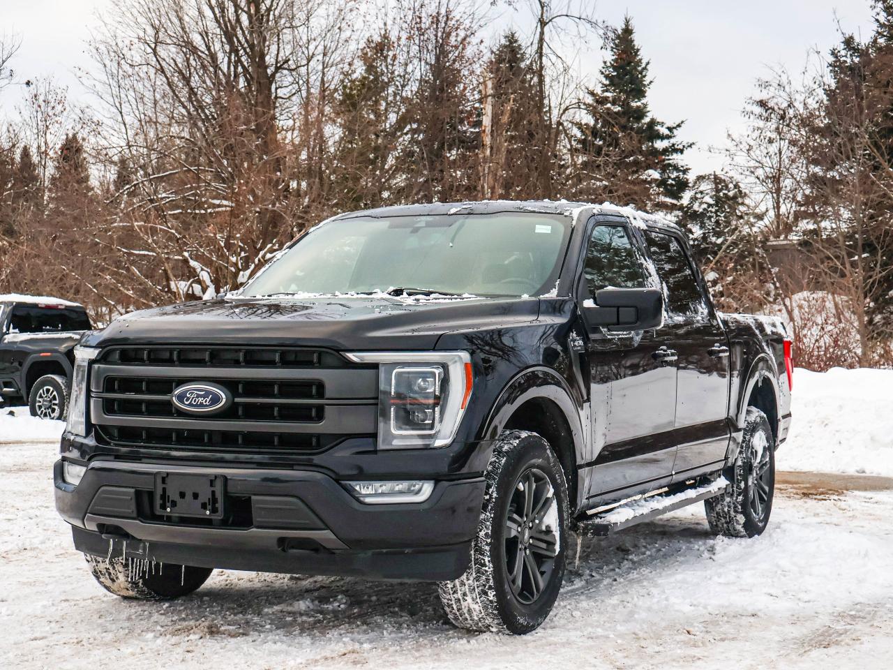 2021 Ford F-150 Lariat Photo