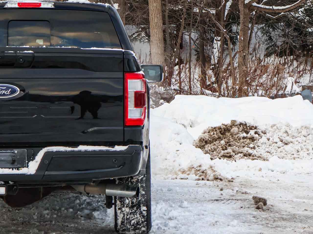 2021 Ford F-150 Lariat Photo