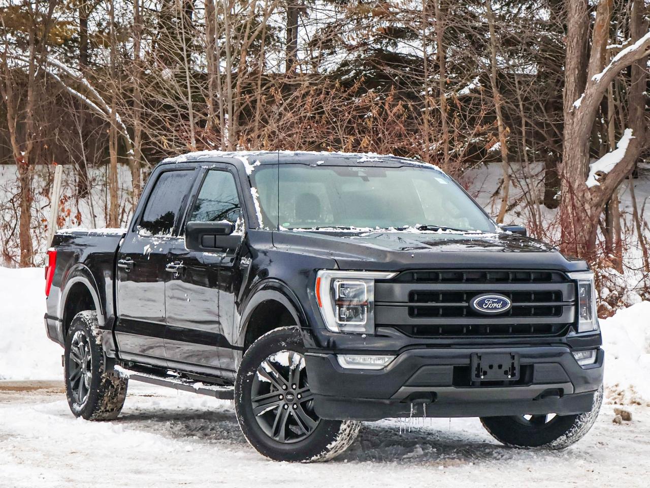 2021 Ford F-150 Lariat Photo
