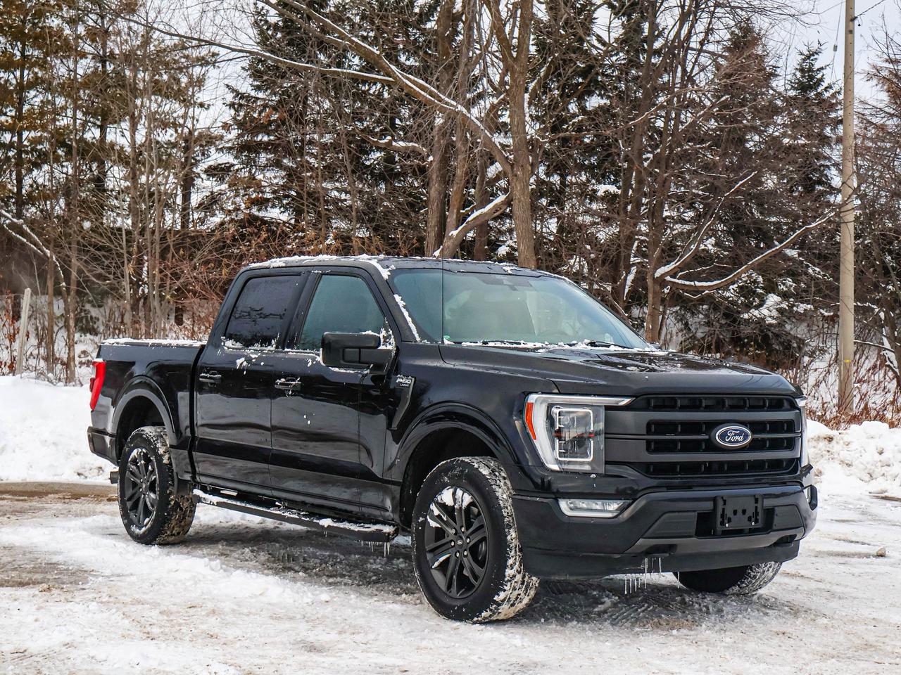 2021 Ford F-150 Lariat Photo