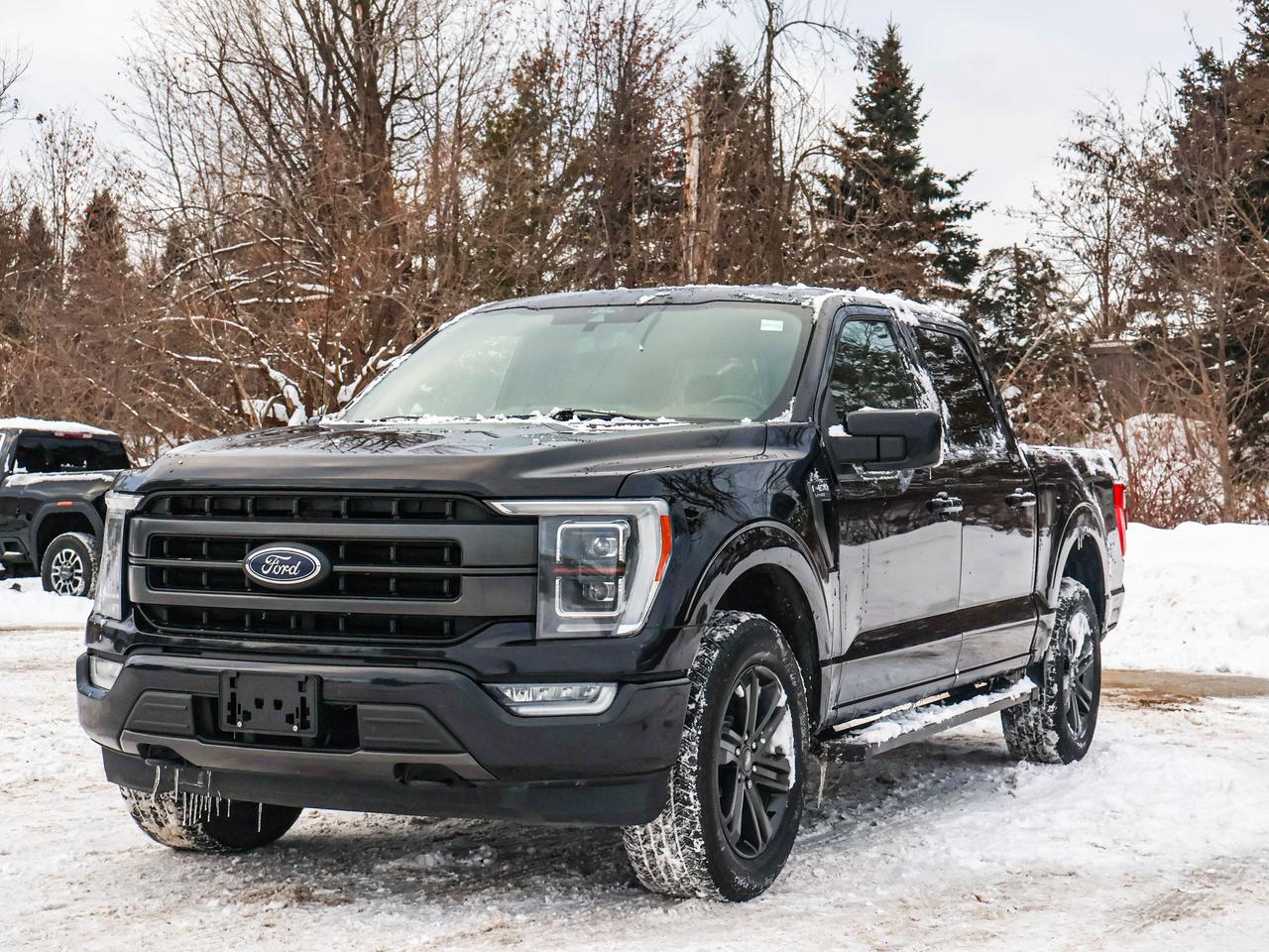 2021 Ford F-150 Lariat Photo