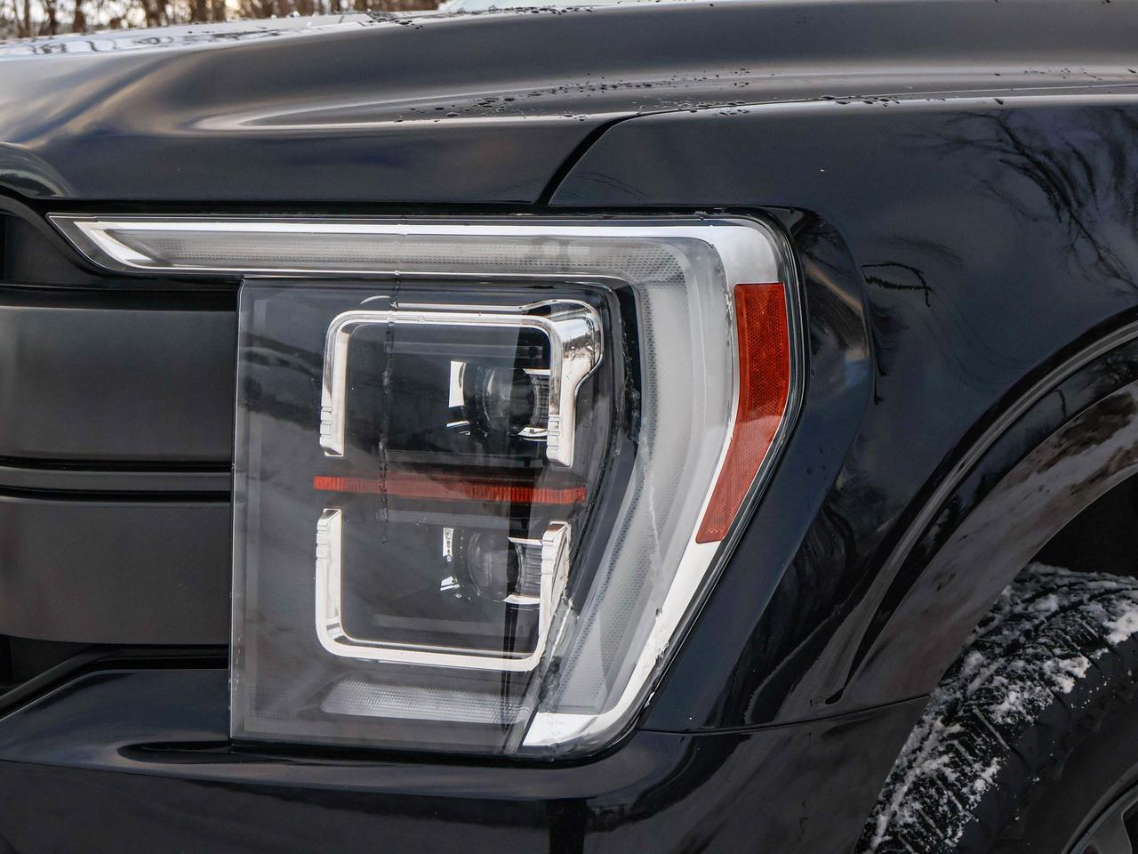 2021 Ford F-150 Lariat Photo