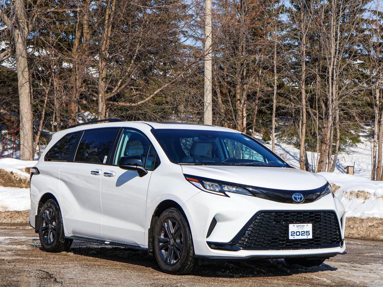 2025 Toyota Sienna XSE Photo