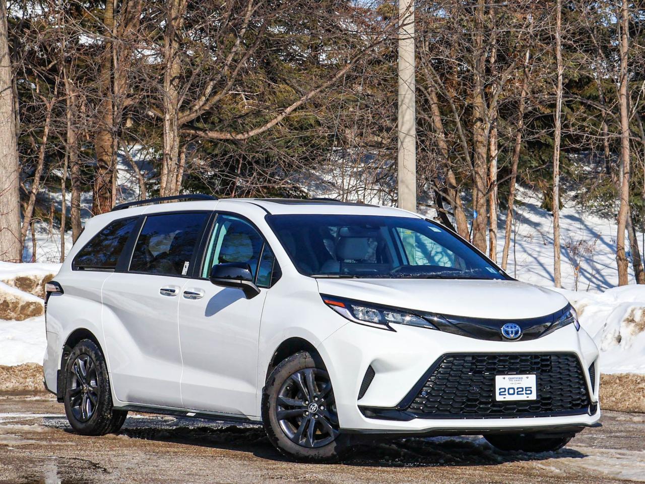 2025 Toyota Sienna XSE Photo