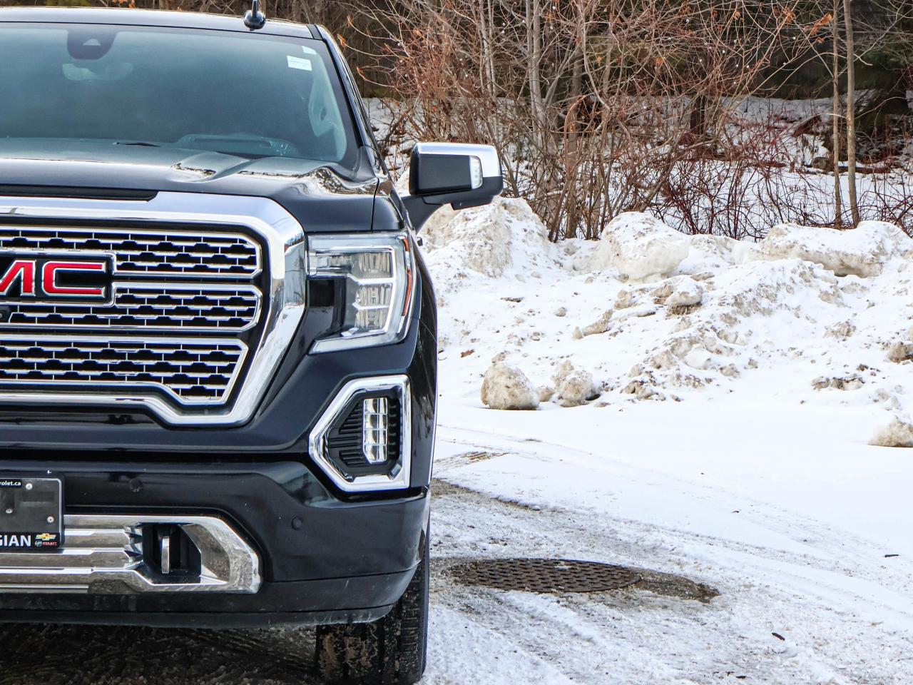 2020 GMC Sierra 1500 Denali Photo