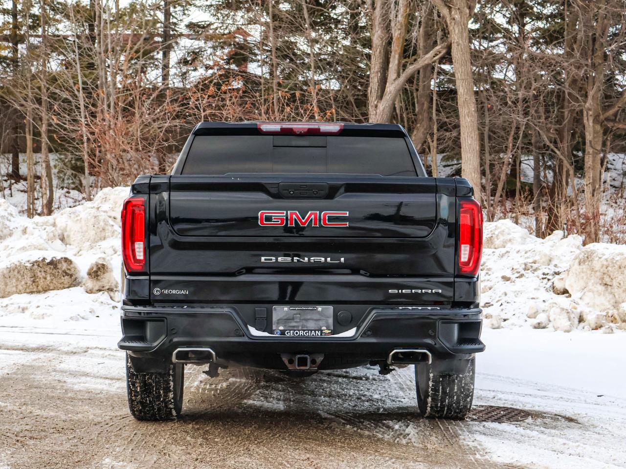 2020 GMC Sierra 1500 Denali Photo