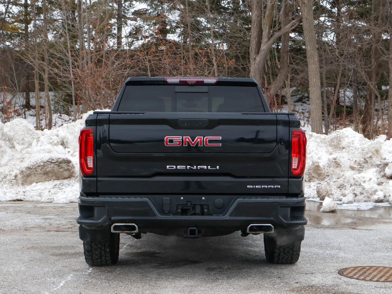 2020 GMC Sierra 1500 Denali Photo