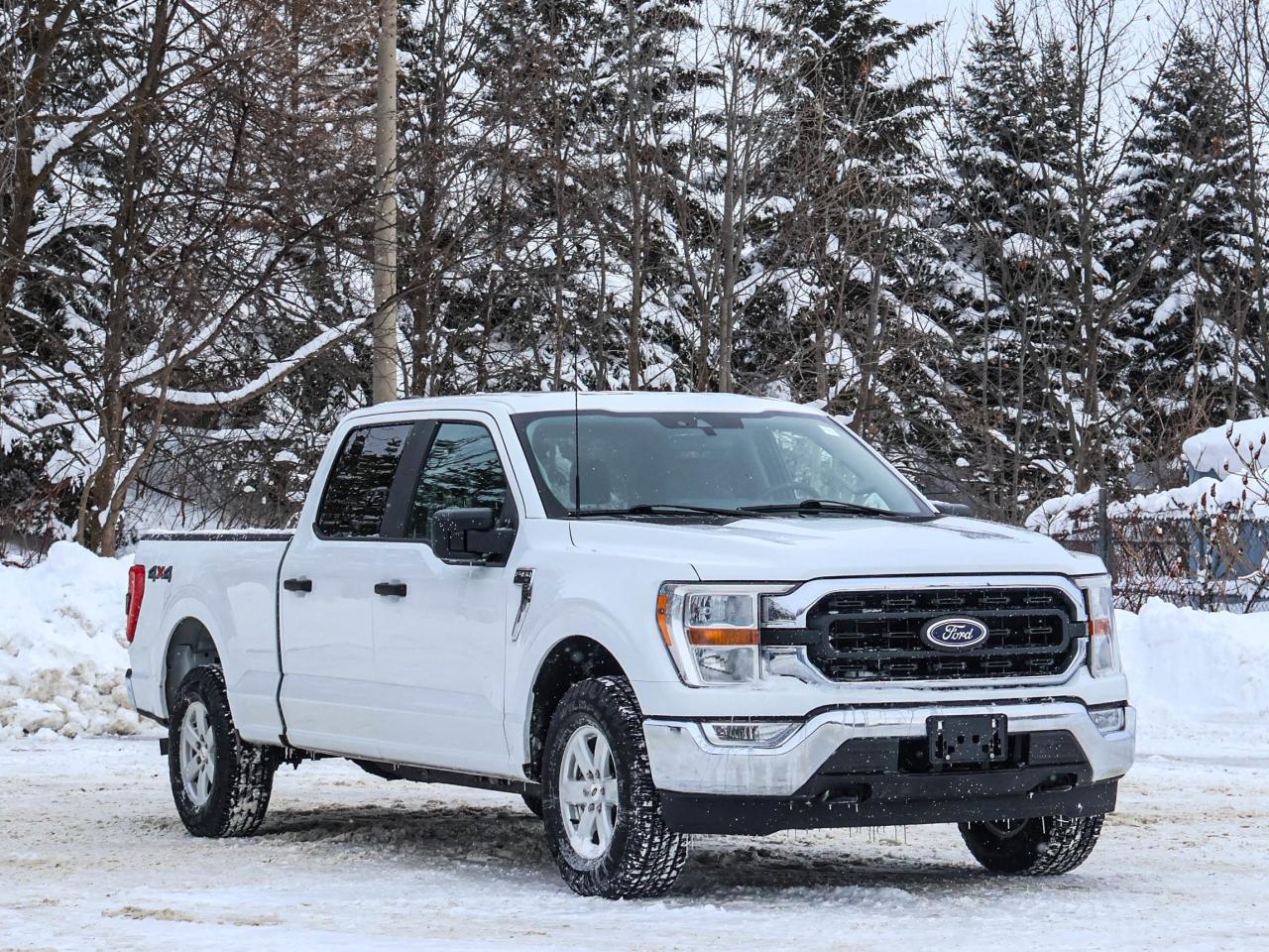 2022 Ford F-150 XLT Photo2