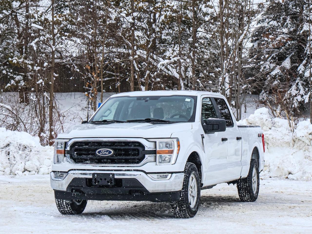 2022 Ford F-150 XLT Photo