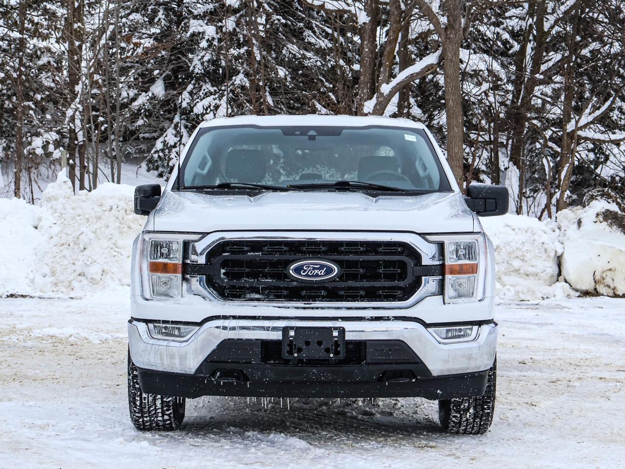 2022 Ford F-150 XLT Photo4