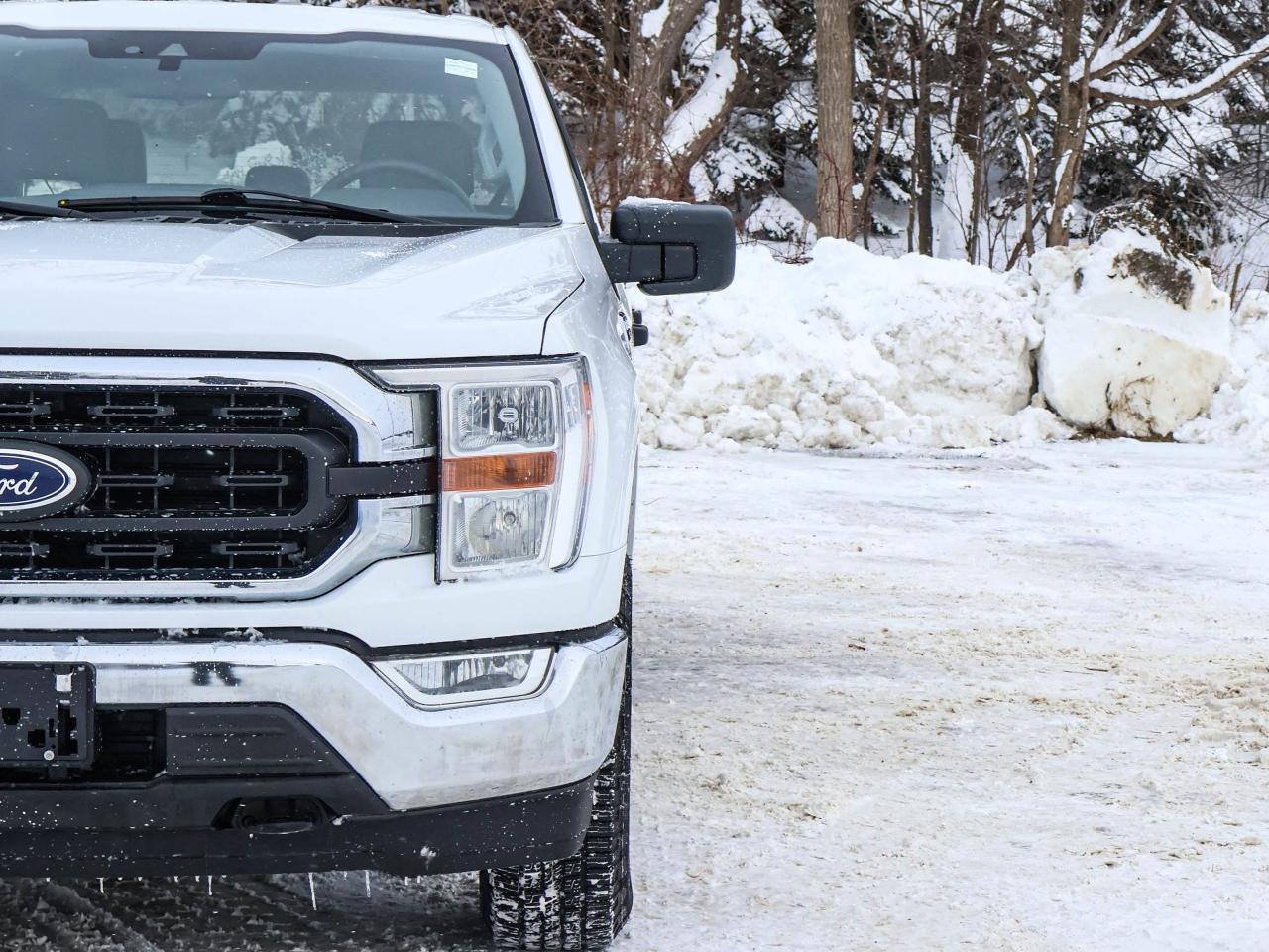 2022 Ford F-150 XLT Photo