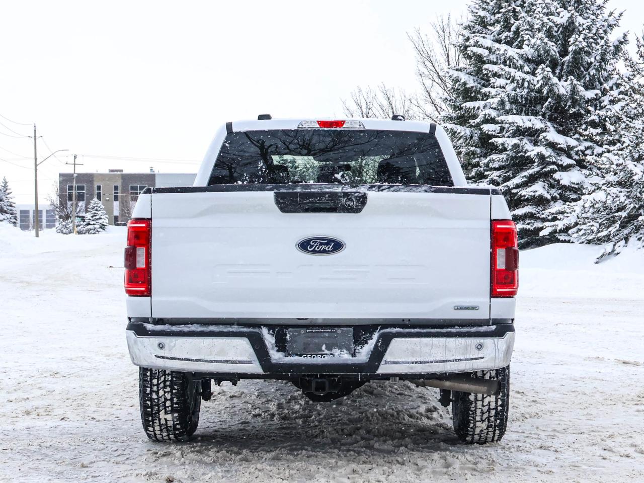 2022 Ford F-150 XLT Photo