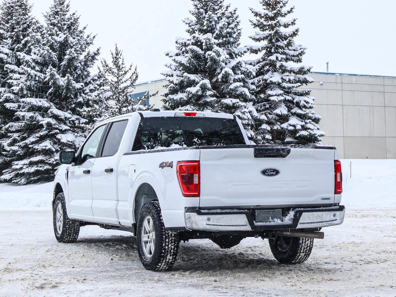 2022 Ford F-150 XLT Photo