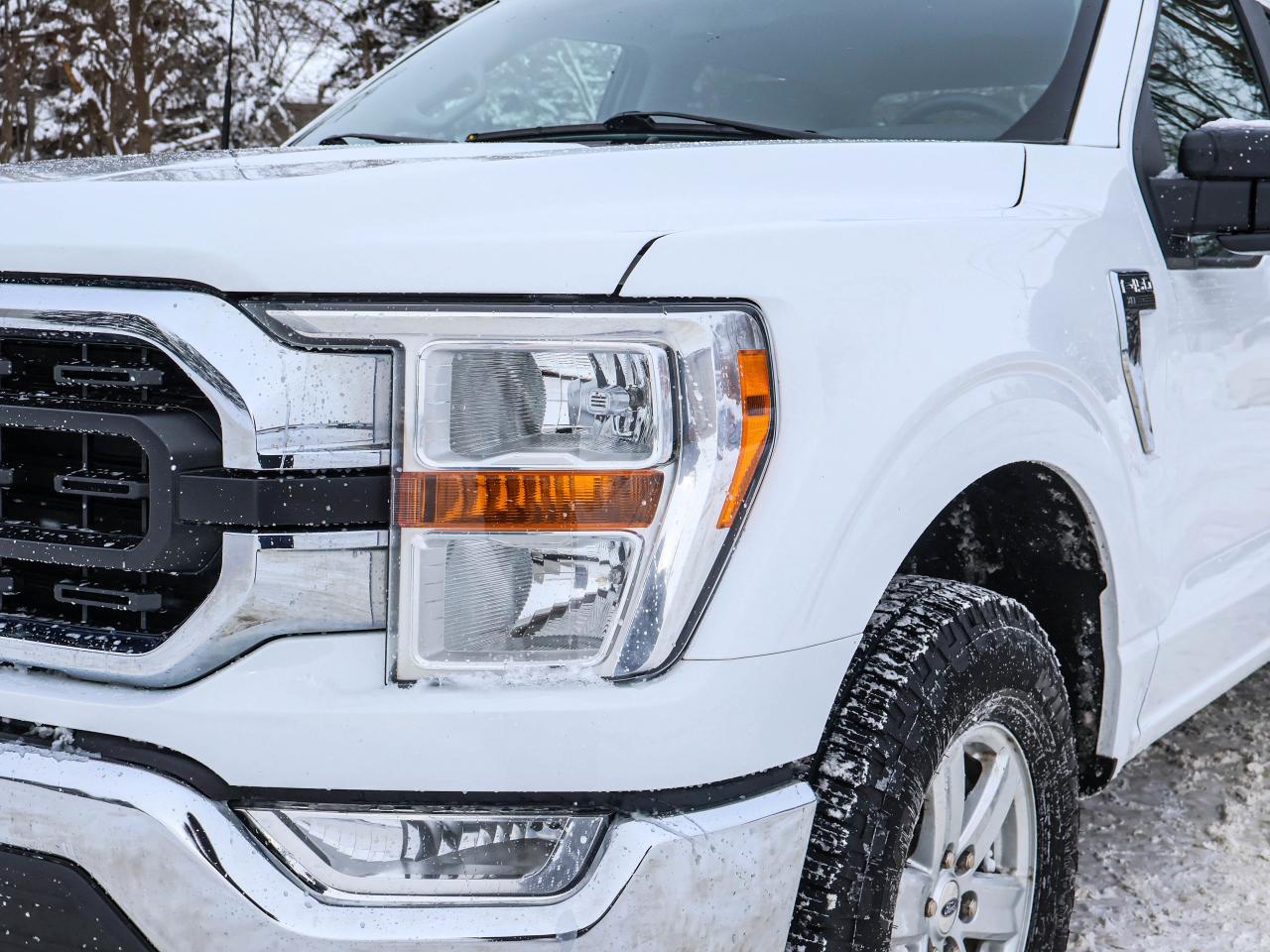 2022 Ford F-150 XLT Photo