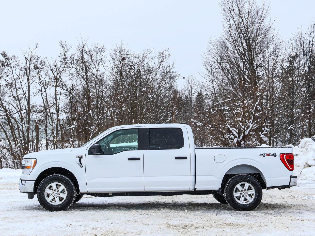 2022 Ford F-150 XLT Photo