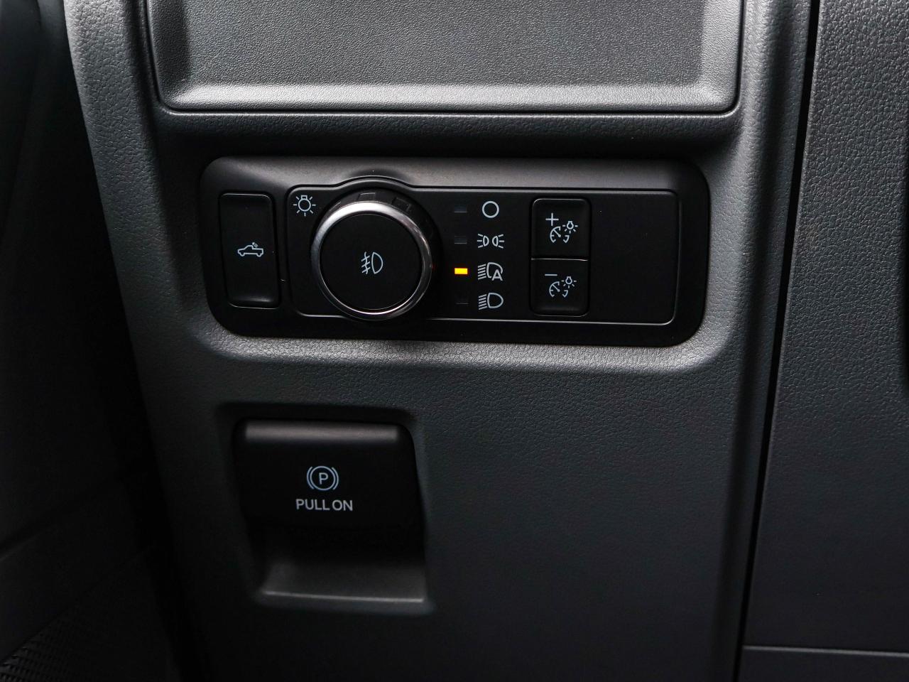 2022 Ford F-150 XLT Photo