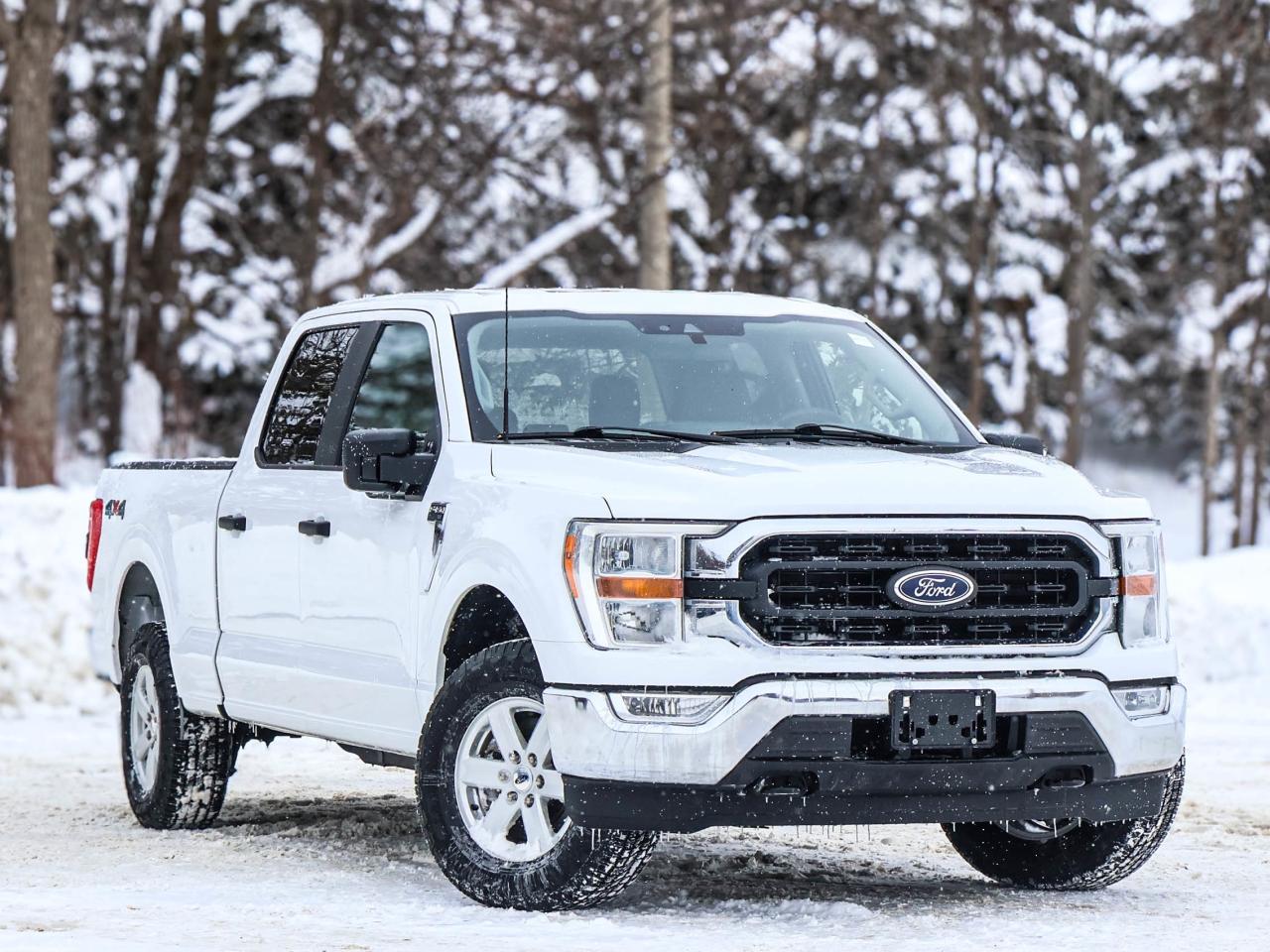2022 Ford F-150 XLT Photo