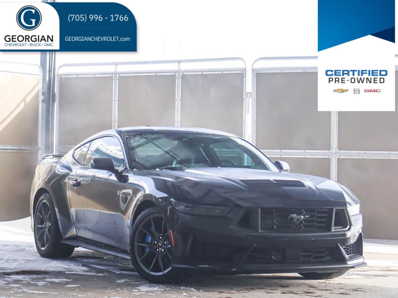 2024 Ford Mustang Dark Horse Photo0