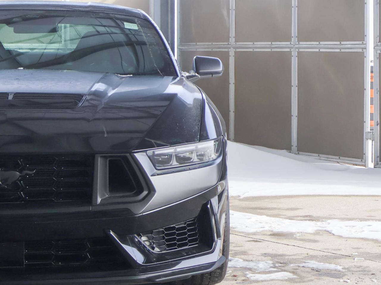 2024 Ford Mustang Dark Horse Photo