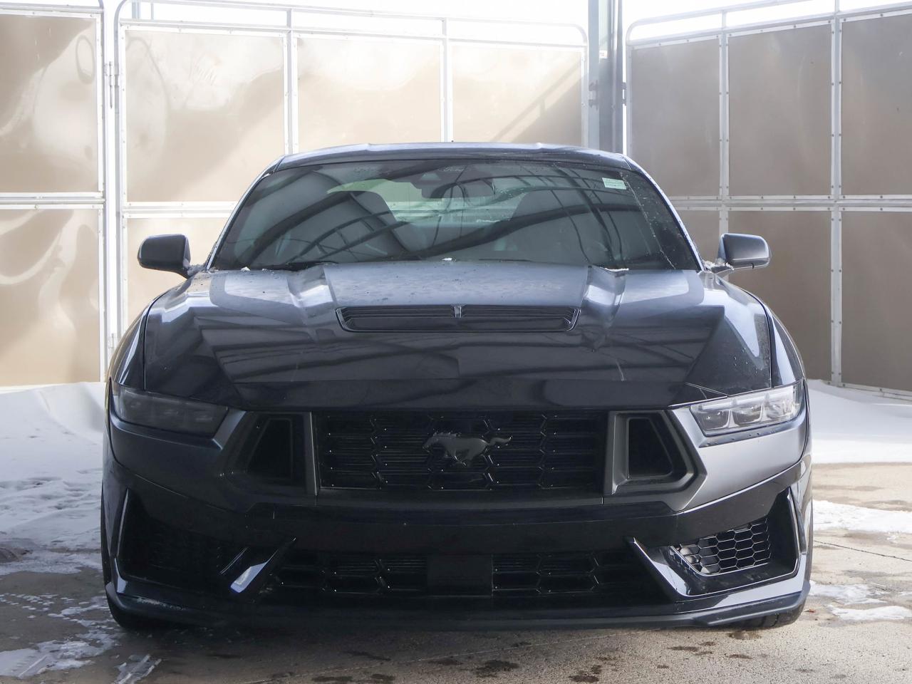 2024 Ford Mustang Dark Horse Photo4