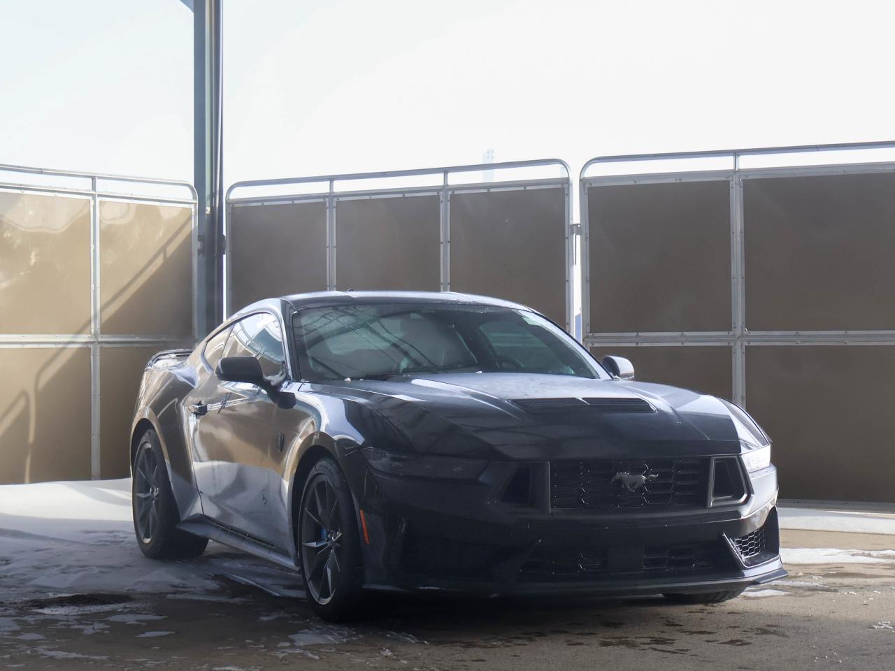 2024 Ford Mustang Dark Horse Photo