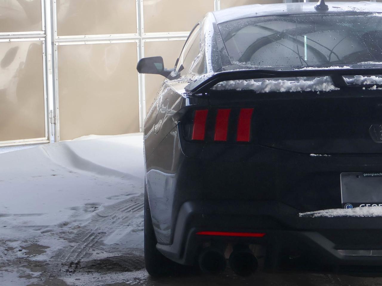 2024 Ford Mustang Dark Horse Photo