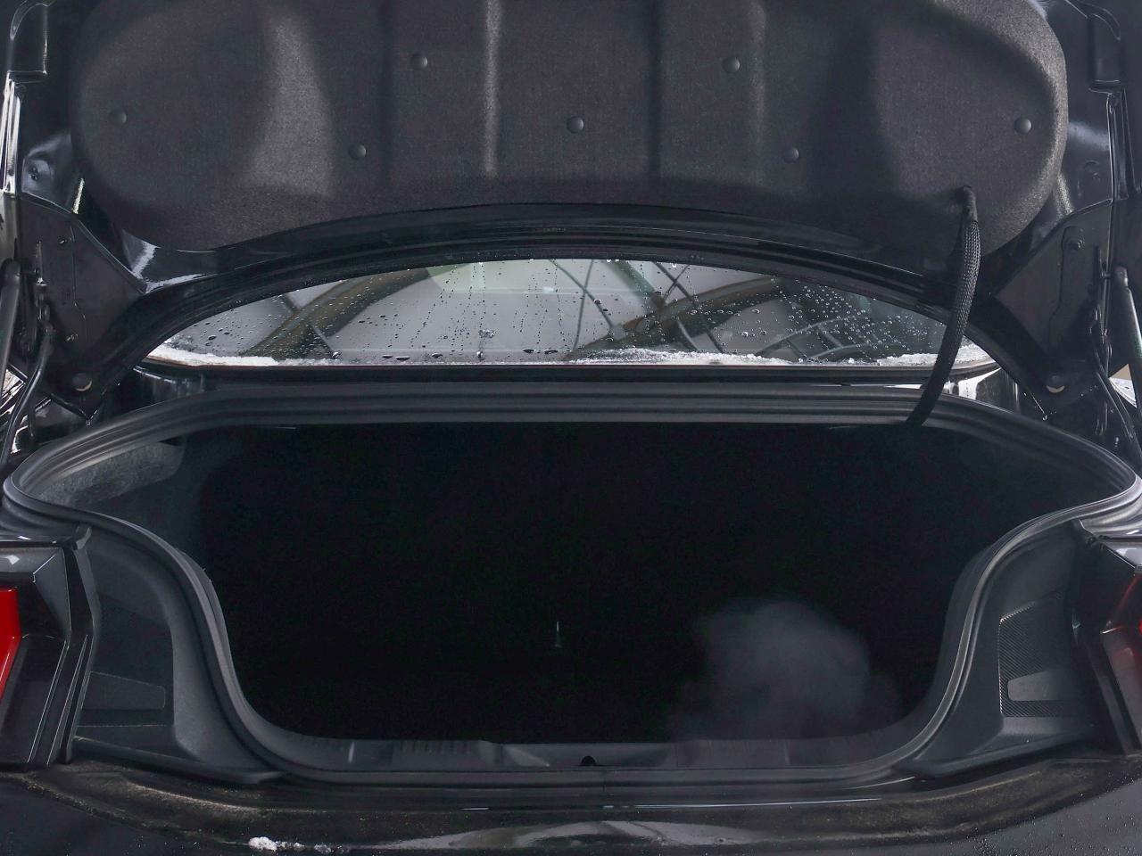 2024 Ford Mustang Dark Horse Photo