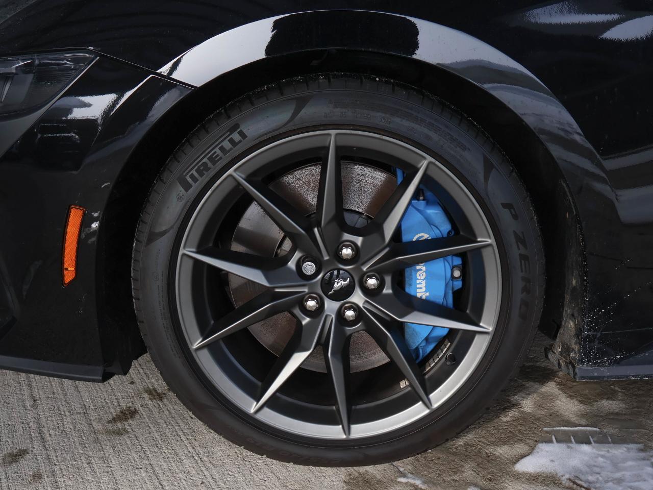 2024 Ford Mustang Dark Horse Photo