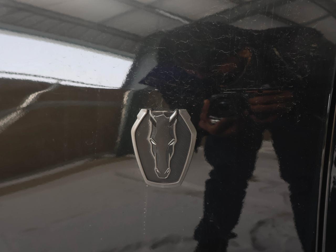 2024 Ford Mustang Dark Horse Photo