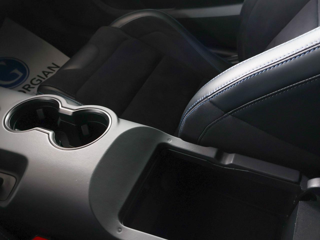 2024 Ford Mustang Dark Horse Photo