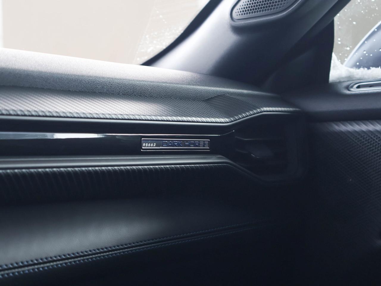 2024 Ford Mustang Dark Horse Photo