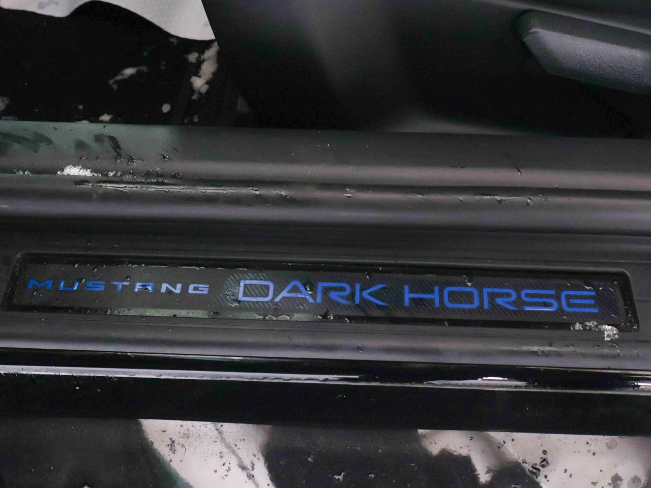 2024 Ford Mustang Dark Horse Photo