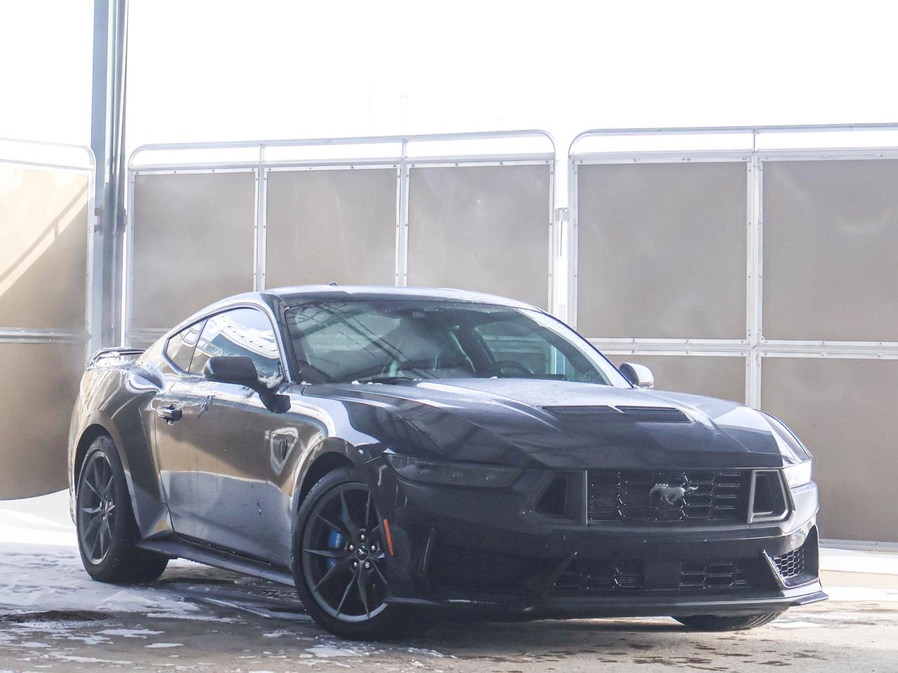 2024 Ford Mustang Dark Horse Photo