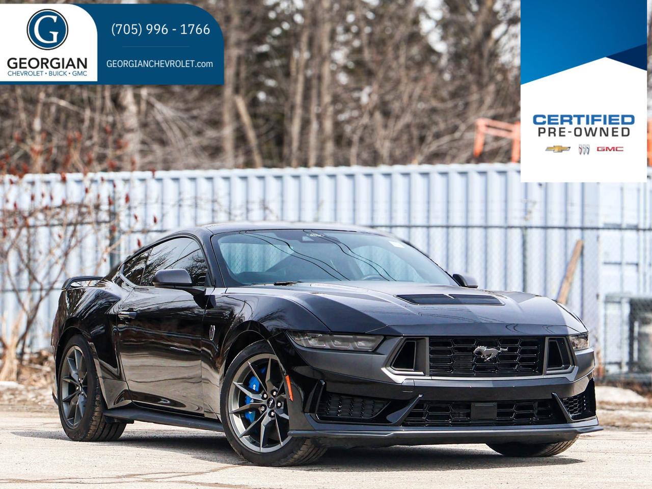 2024 Ford Mustang Dark Horse Photo0