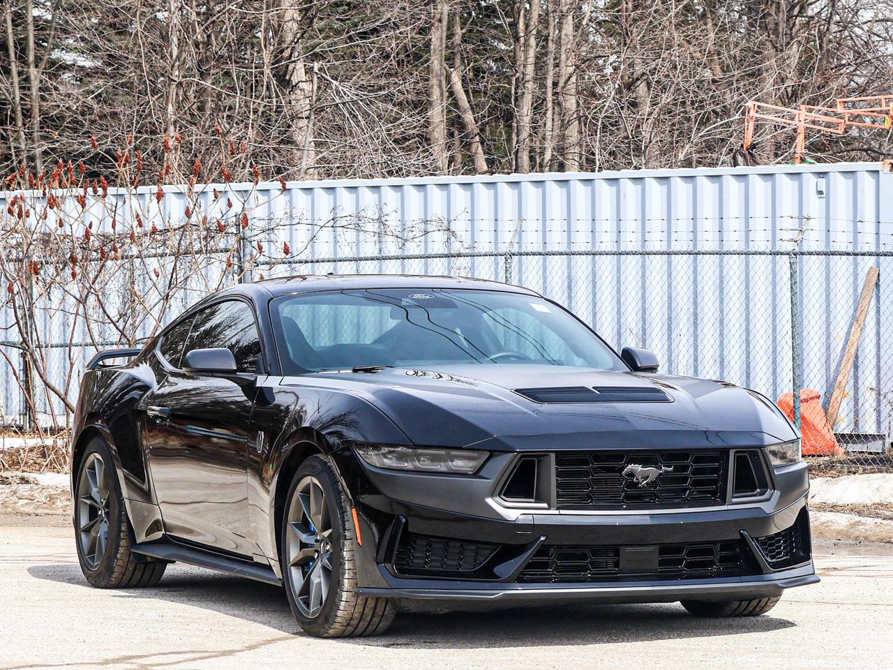 2024 Ford Mustang Dark Horse Photo