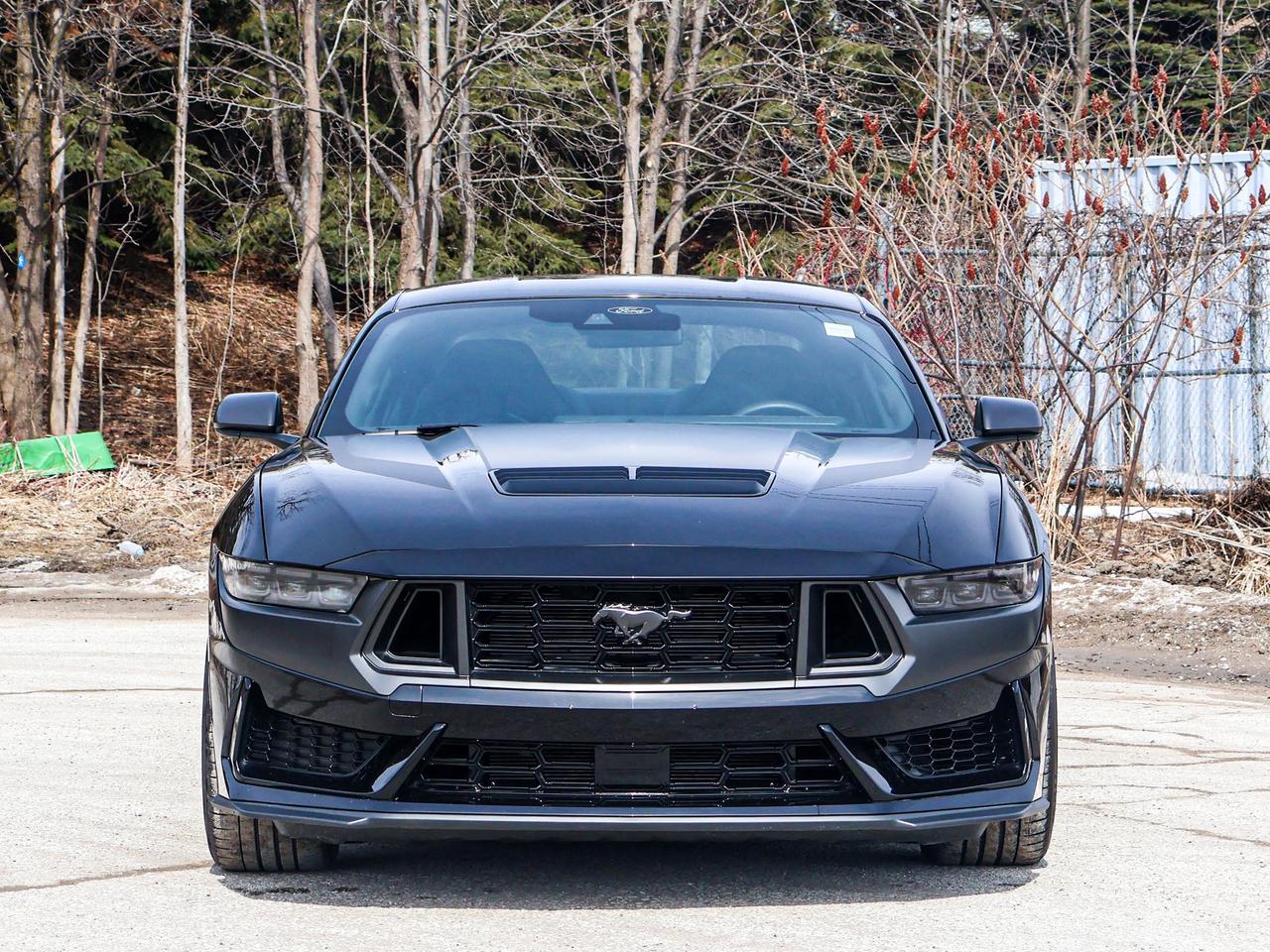 2024 Ford Mustang Dark Horse Photo4