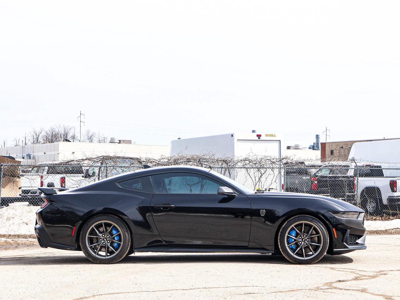 2024 Ford Mustang Dark Horse Photo