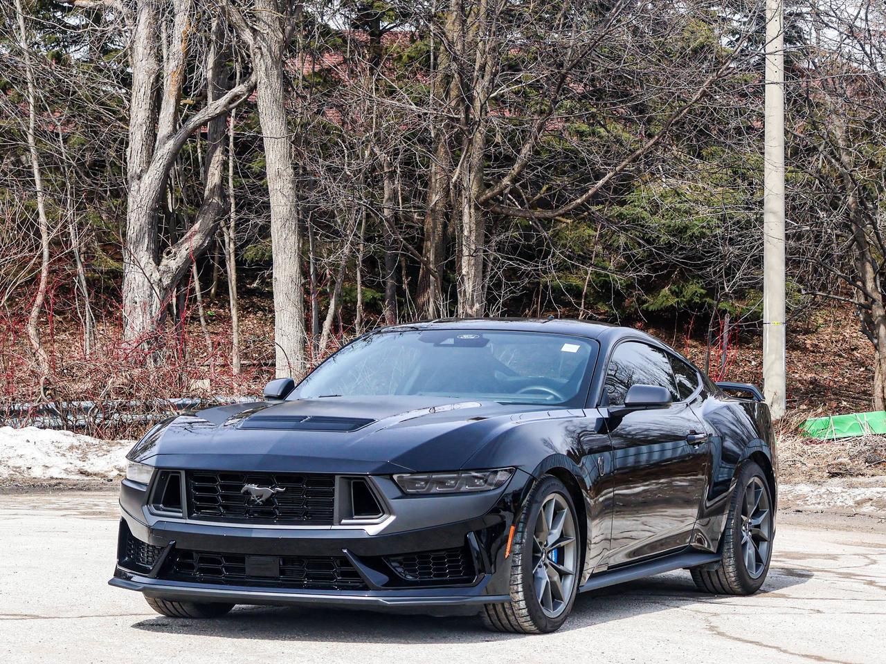 2024 Ford Mustang Dark Horse Photo