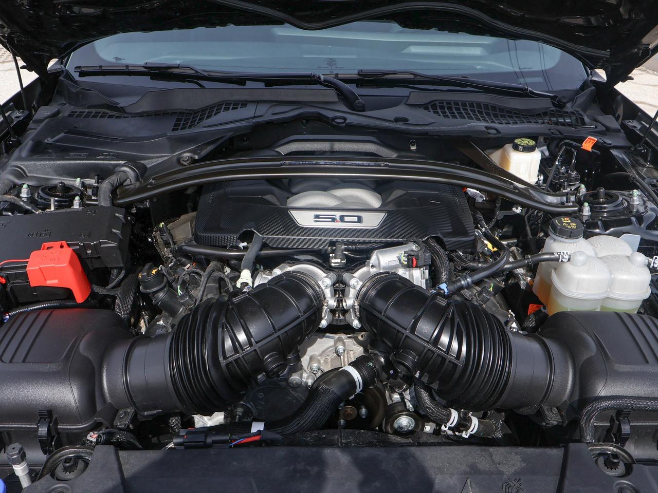 2024 Ford Mustang Dark Horse Photo