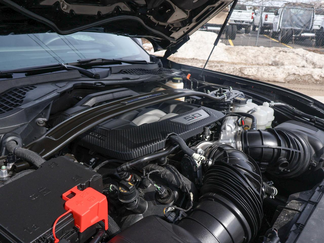 2024 Ford Mustang Dark Horse Photo