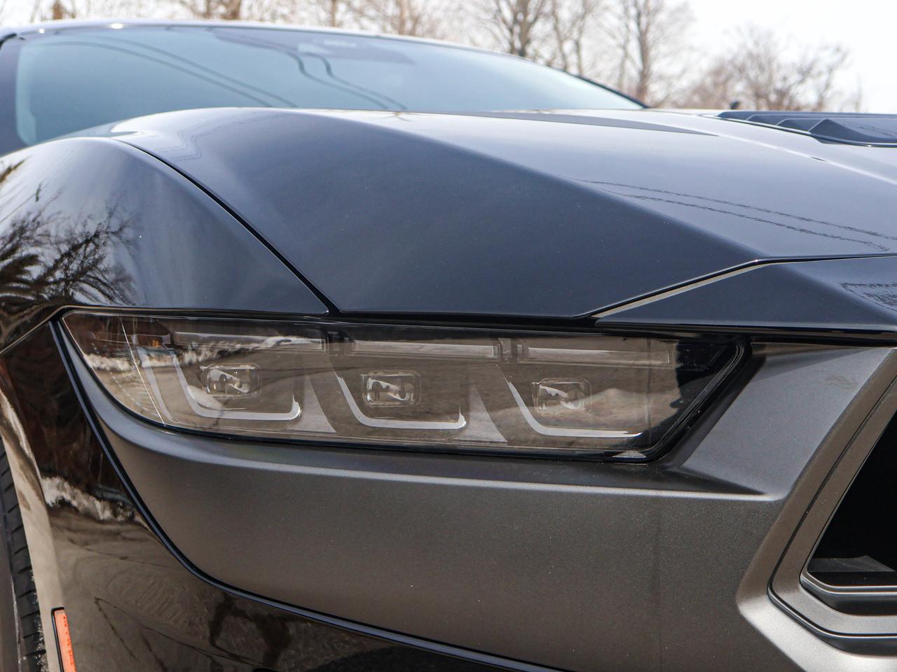 2024 Ford Mustang Dark Horse Photo