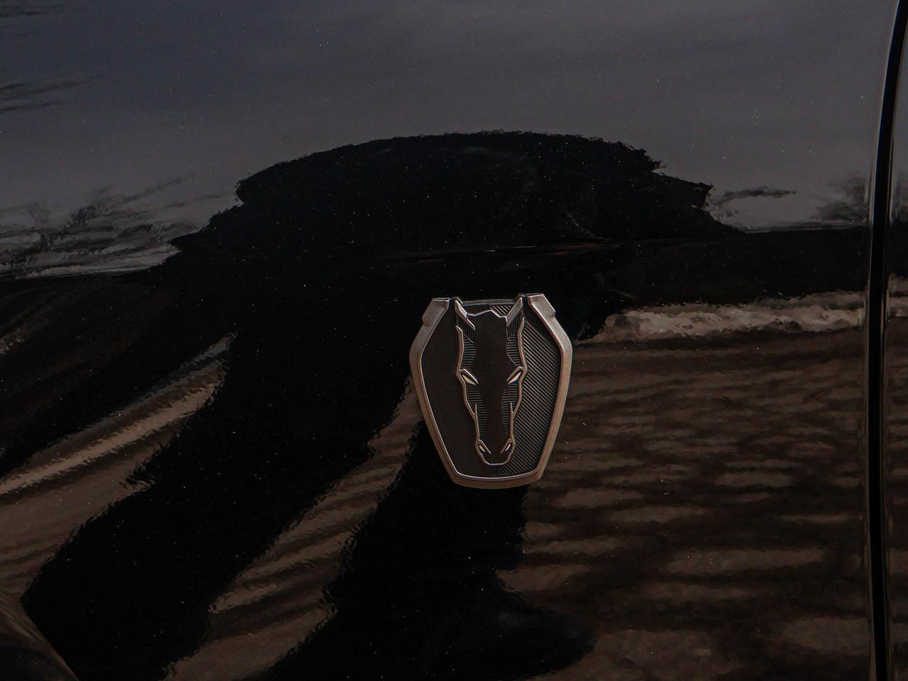 2024 Ford Mustang Dark Horse Photo