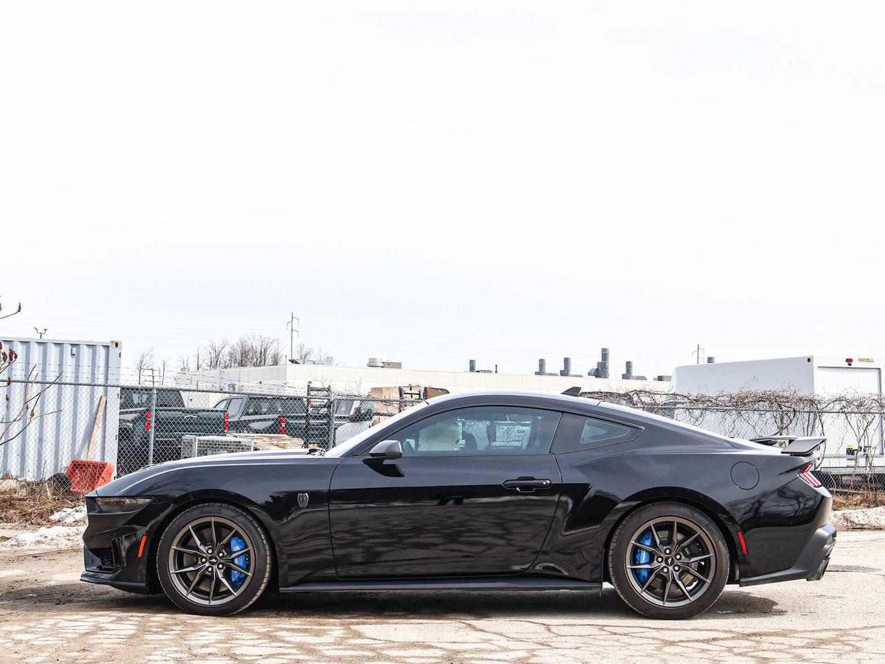 2024 Ford Mustang Dark Horse Photo