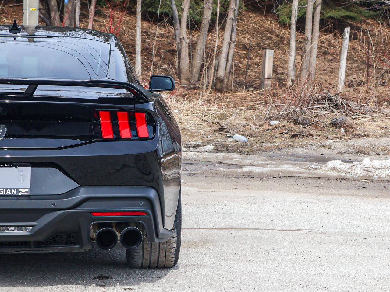2024 Ford Mustang Dark Horse Photo