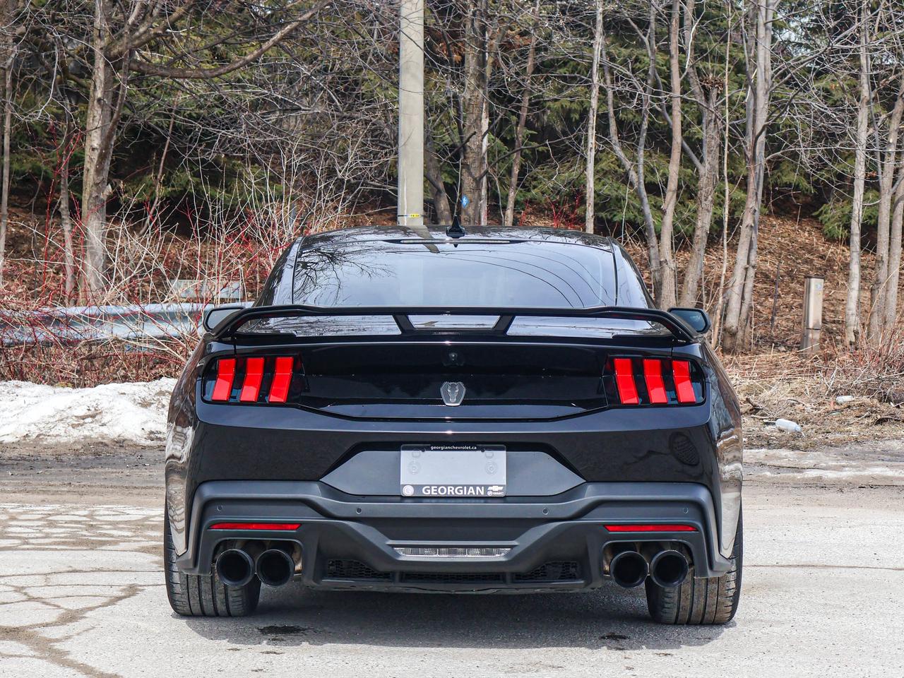 2024 Ford Mustang Dark Horse Photo