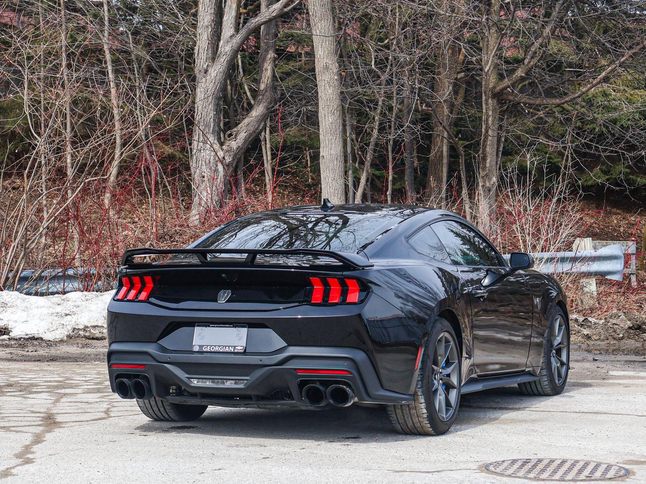 2024 Ford Mustang Dark Horse Photo