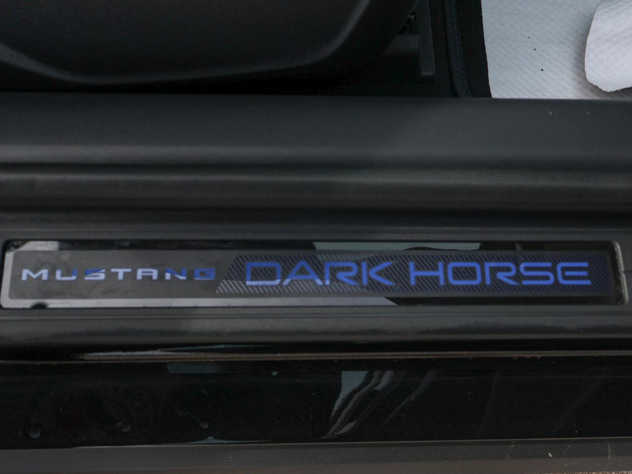 2024 Ford Mustang Dark Horse Photo