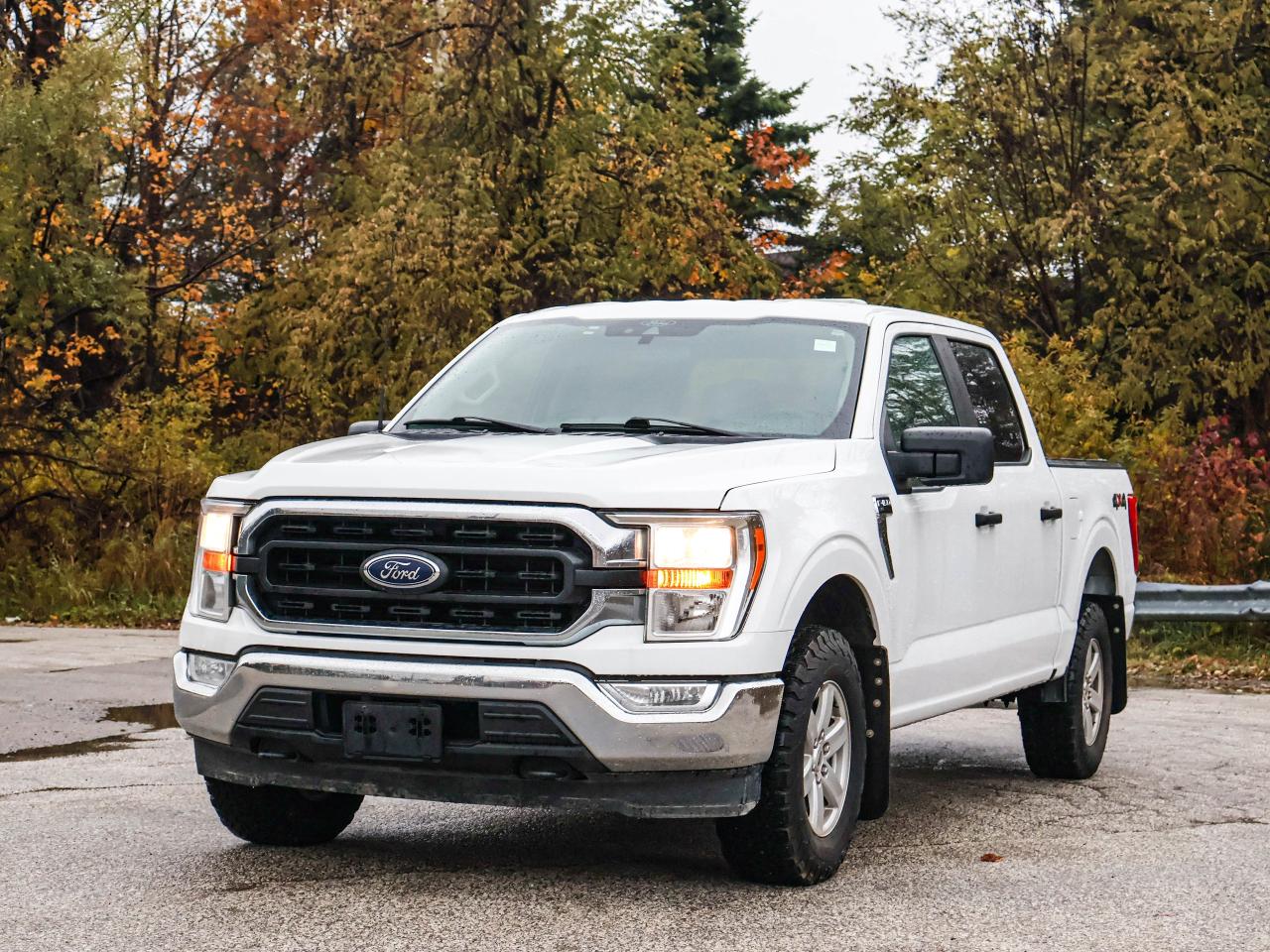 2021 Ford F-150 XLT Photo