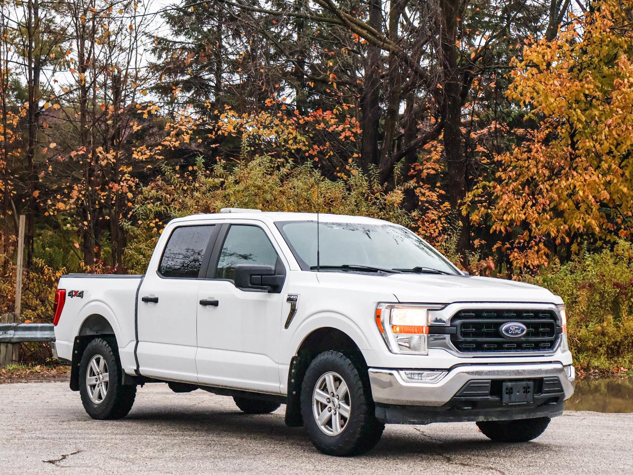 2021 Ford F-150 XLT Photo